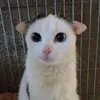 raymbutmybfsendsmeshit