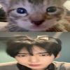 leechihoonn
