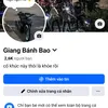 bo.giang714