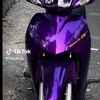 ng.vn.sng2009