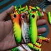 angler.merah.jambu