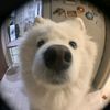 fiwjer_04
