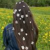 annisha241