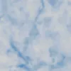 idcuatuineban