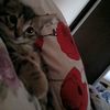 gaby65872