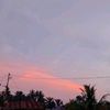 fhry_1233