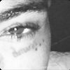 privv.audieee