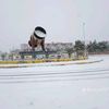 cabaasecabdi19