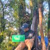 muhammad.aulia599