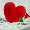 sofihaik