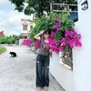 phuong_kien_tri_94