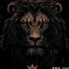 user9527881697201
