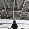 juaanp_colliii