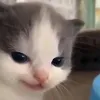 thim.trn.vn0