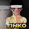 finko_100k