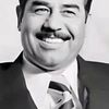 mahmoud.mahmoud8493