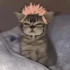 dhrfurjtjhdhjtkgkrhfjfh