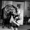natasja.folkmann