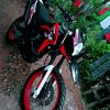 jose.delsib
