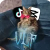 vikalukovkatop282