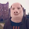 tucompaelpedro_plus