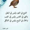 a33337777h8888