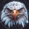 damyankee4