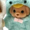 ._saauowi