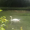 nina_k55