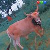 hamidou.diao.diao