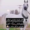 الشاعري ابو حسين