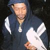 raph.wealthy