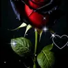 user9314575533060