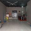 tilki270
