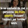 bamba.vie.mory
