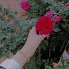 user5444731844735