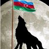 boz_qurd_1983