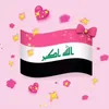 malk.ali3