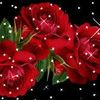user3800925482280