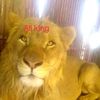 king41012