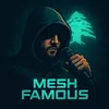 meshfamous