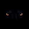 noor.alsayed522