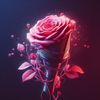 theisolatedrainbow