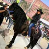 la_vaquera_72