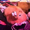 meltubby0