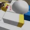 shedletchicken