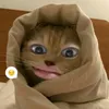lina_baongoc
