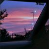 pame_6883