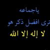 mas.uae1