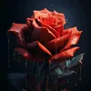 tugonzalo_